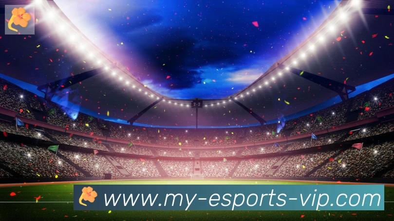 DOTA比分荣誉