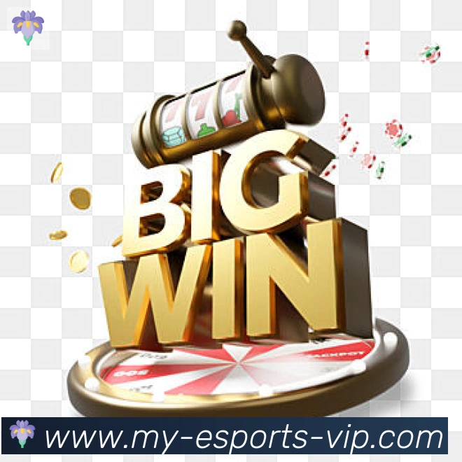 DOTA比分荣誉
